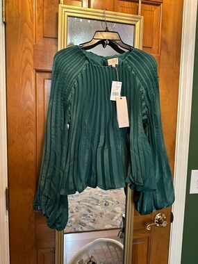 CIEBON Emerald Pleated Long-Sleeve Blouse